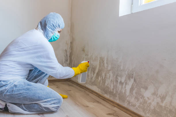 Licensed Mold Remediation service in North Richland Hills, TX - WQB Mold Removal