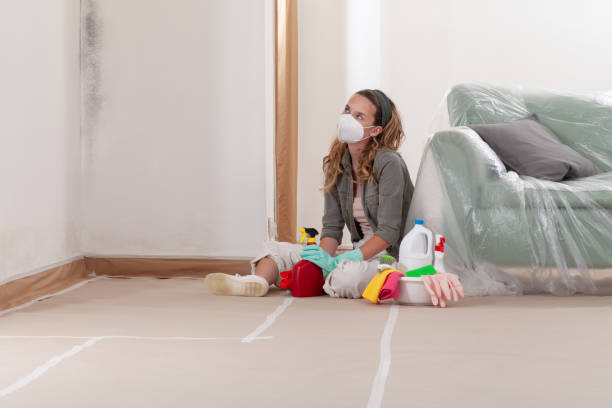 Reliable Mold Remediation contractor in North Richland Hills, TX by WQB Mold Removal